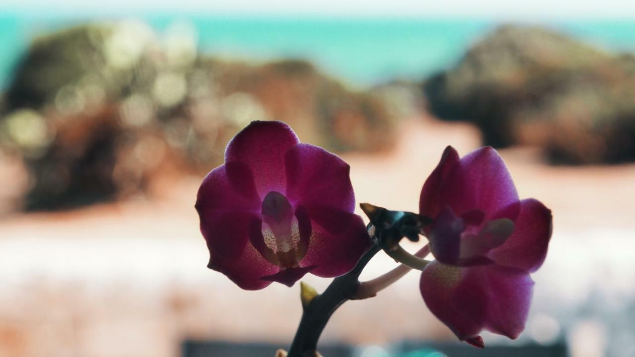 Rosa Marina Villa Scicli Ngoại thất bức ảnh